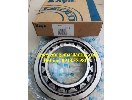 BẠC ĐẠN NU2220 - KOYO